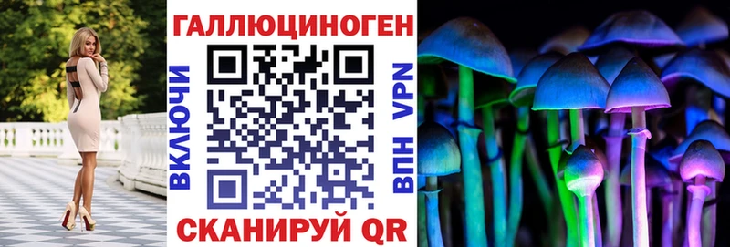 MEGA зеркало  закладка  Болхов  Псилоцибиновые грибы Psilocybe 